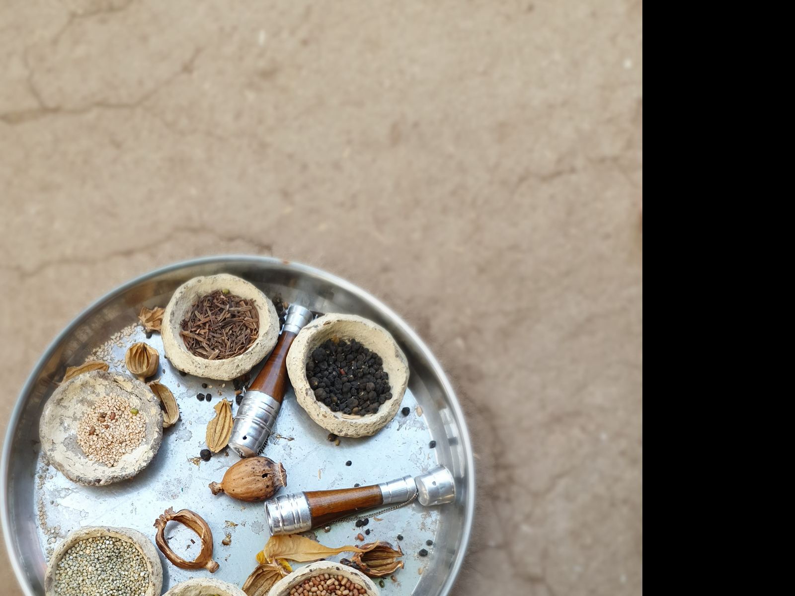 Bandeja con semillas, raices y especias molidas, base de la medicina tradicional india