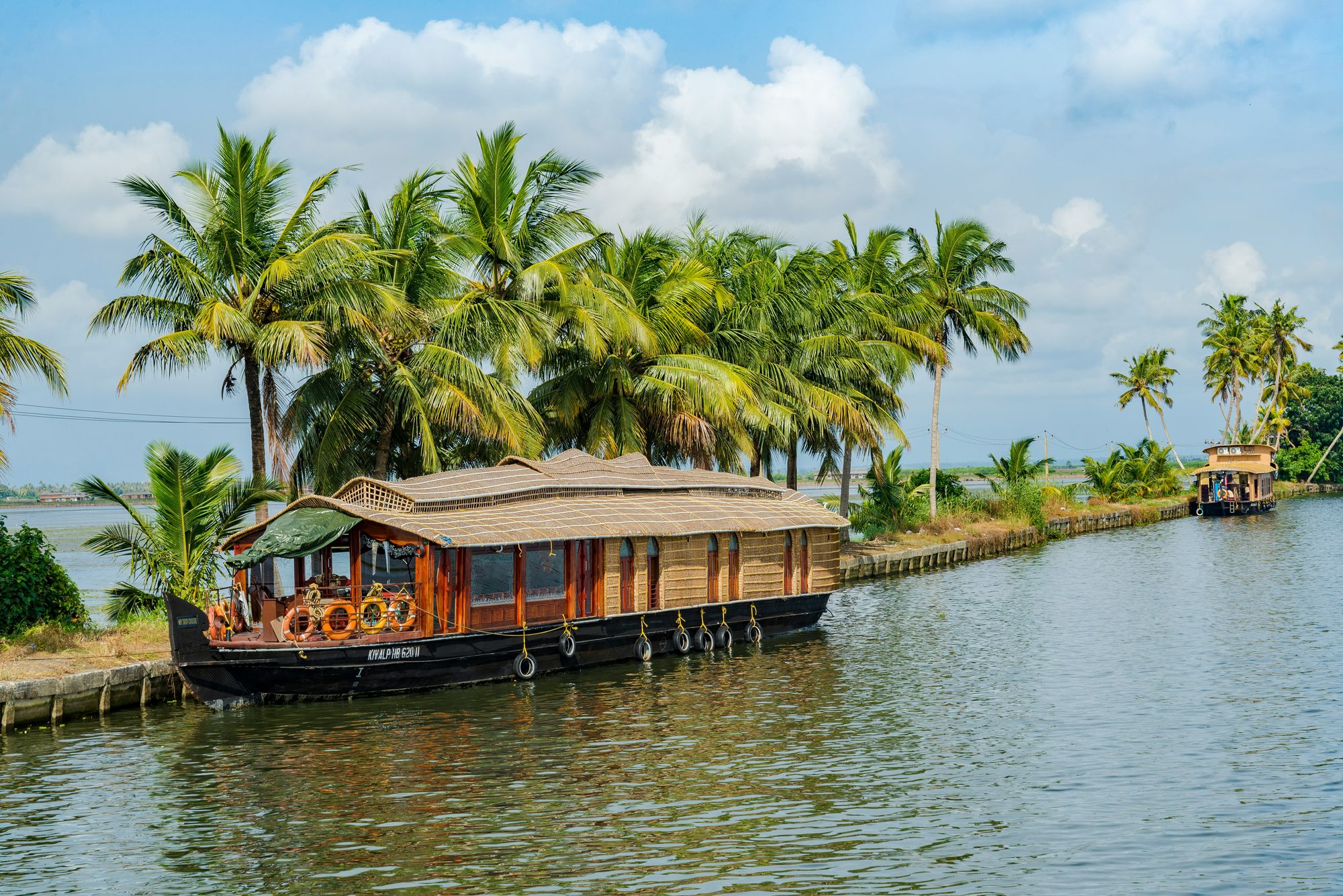 Casa flotante junto a una ribera con palmeras en los backwaters de Kerala
