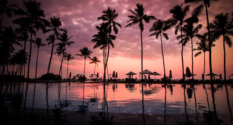 Piscina de un resort frente al mar al atardecer, entre palmeras, en Sri Lanka