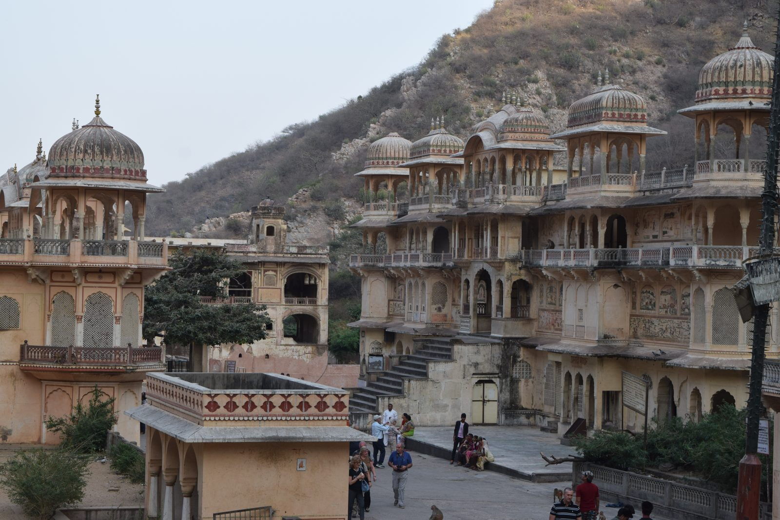 Fuertes y Palacios de Rajasthan 14 Noches 15 Días