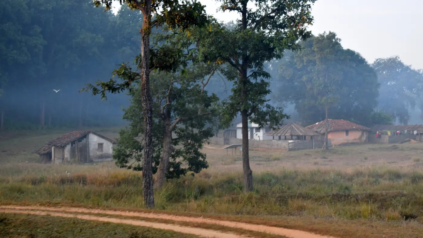 Amanecer con niebla en la zona de amortiguamiento de Bandhavgarh