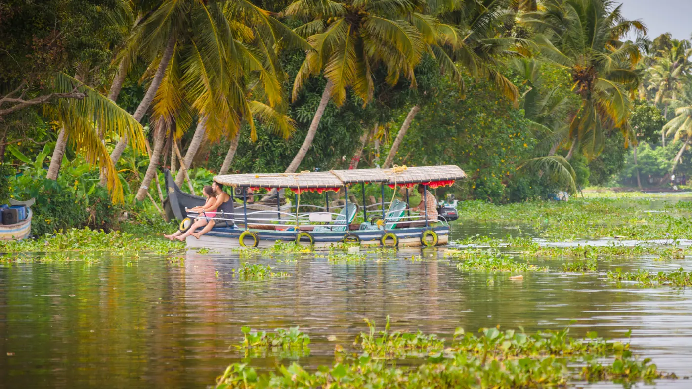 Barca entre palmeras en los remansos de Alleppey, Kerala