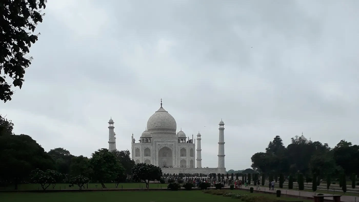 El Taj Mahal tras la arboleda de los jardines, Agra