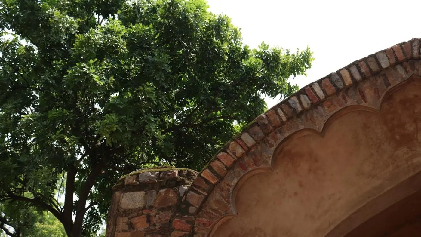 Arco de arenisca entre los árboles, Delhi
