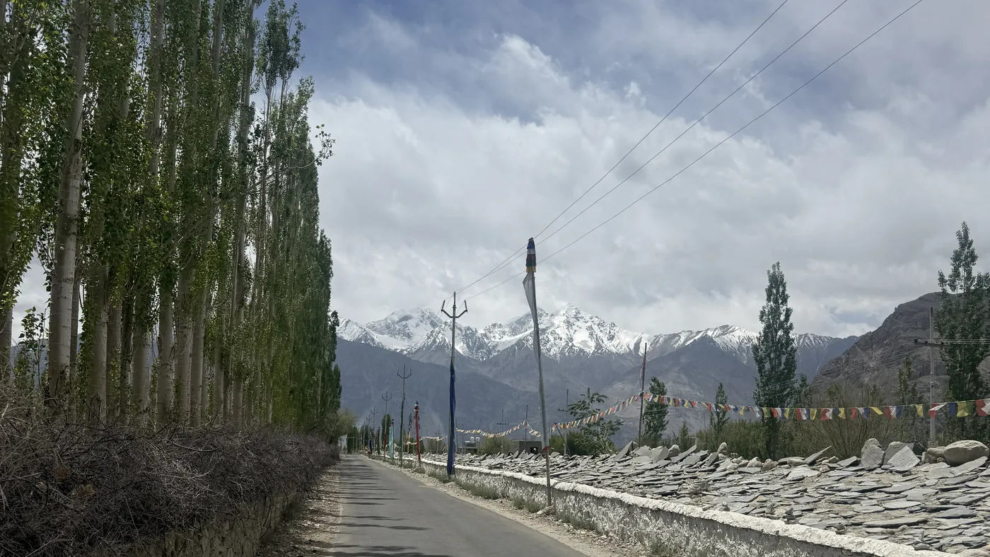 Carretera bordeada de álamos en el valle del Indo, Ladakh